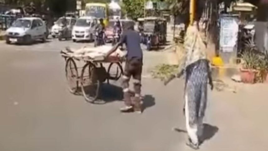 Heartbreaking Viral Video Desperate Mother Forced to Beg for Son's Last Rites on Pyre